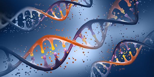 Mechanism of Liquid Chromatographic Resolution of Chiral Compounds