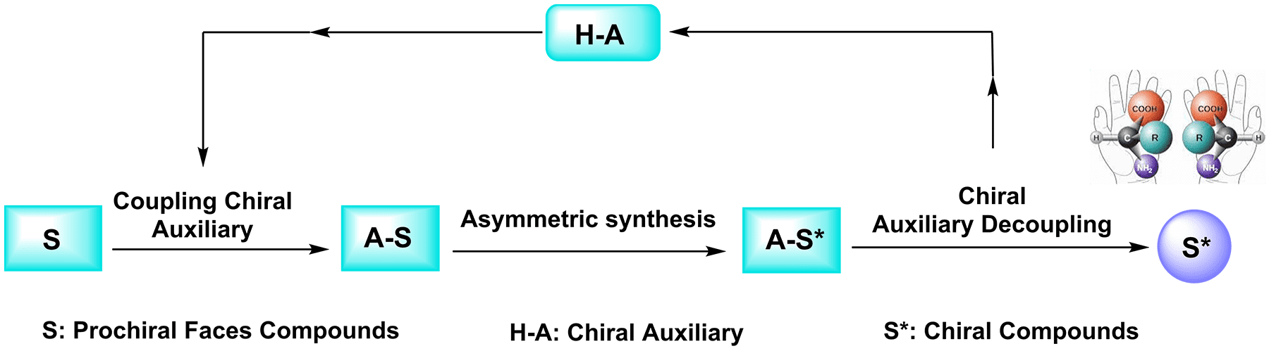 Other Chiral Auxiliaries 