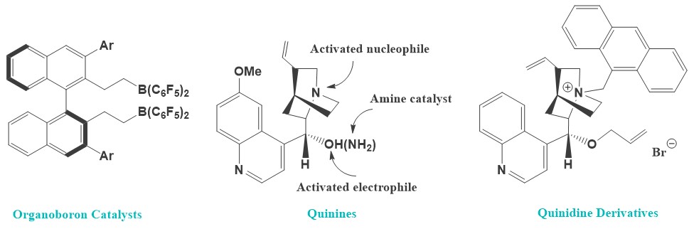 Partially representative organic catalysts.