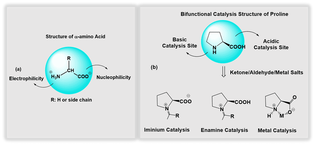 (a) The structure of α-amino acid, and (b) potential  catalysis intermediates of bifunctional proline-catalyzed transformations.