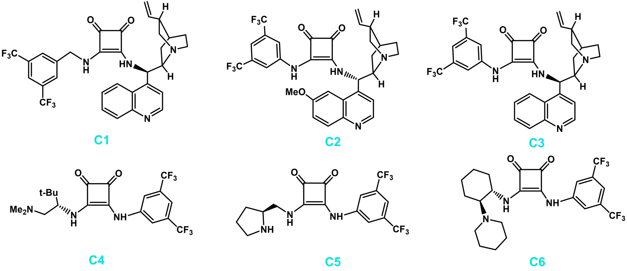 Representative chiral squaramide organocatalysts 