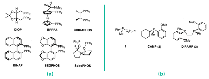 Representative examples of  optically active phosphine ligands