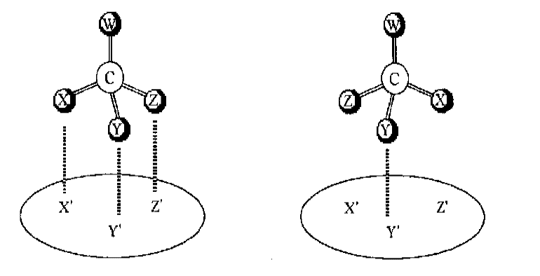 The interaction of chiral molecules and proteins