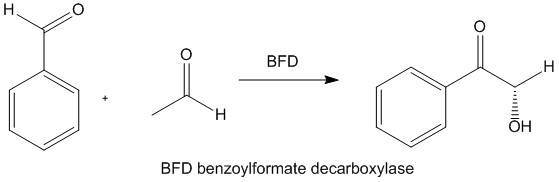 Chiral Synthesis 